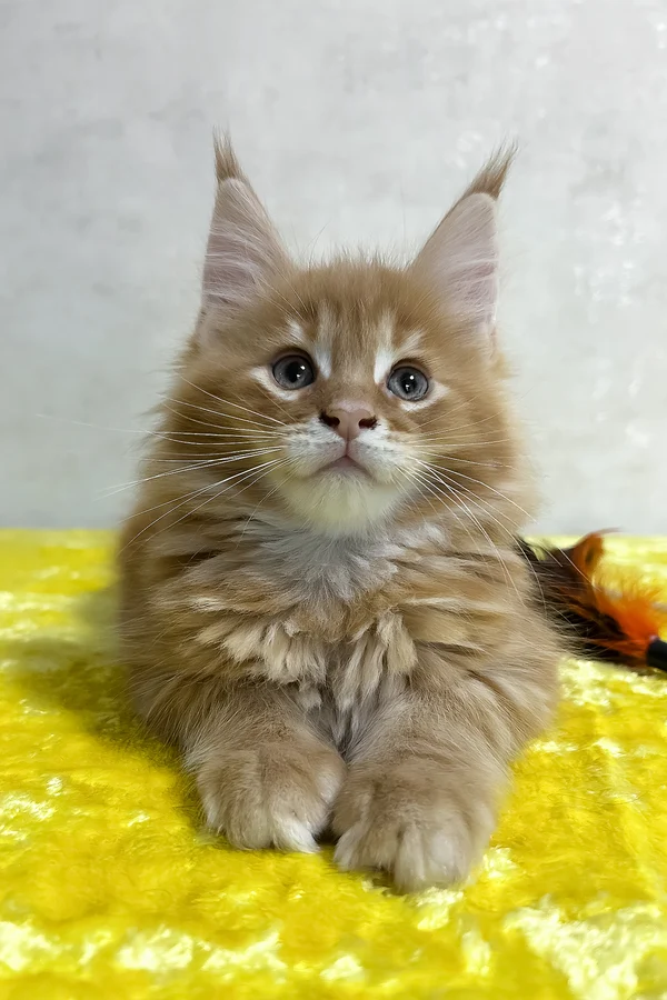 Name: Oskar