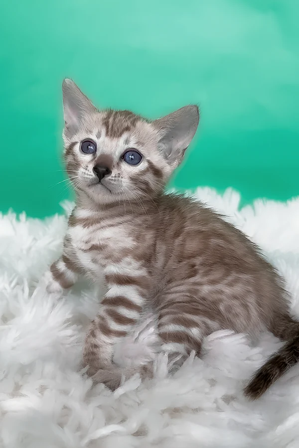 Name: Lana